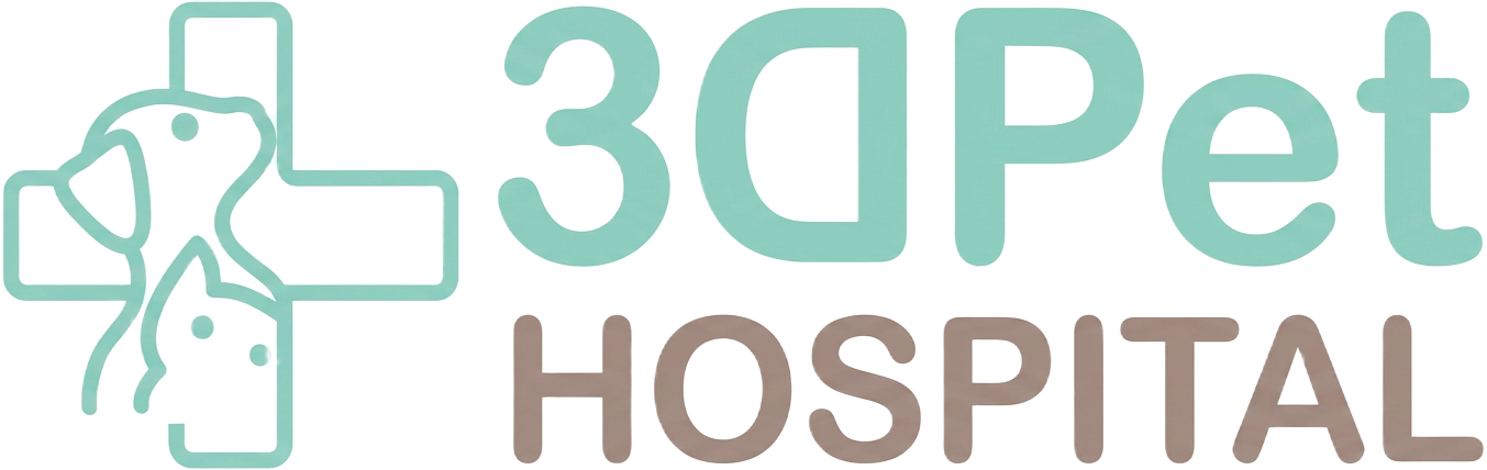 3D Pet Hospital