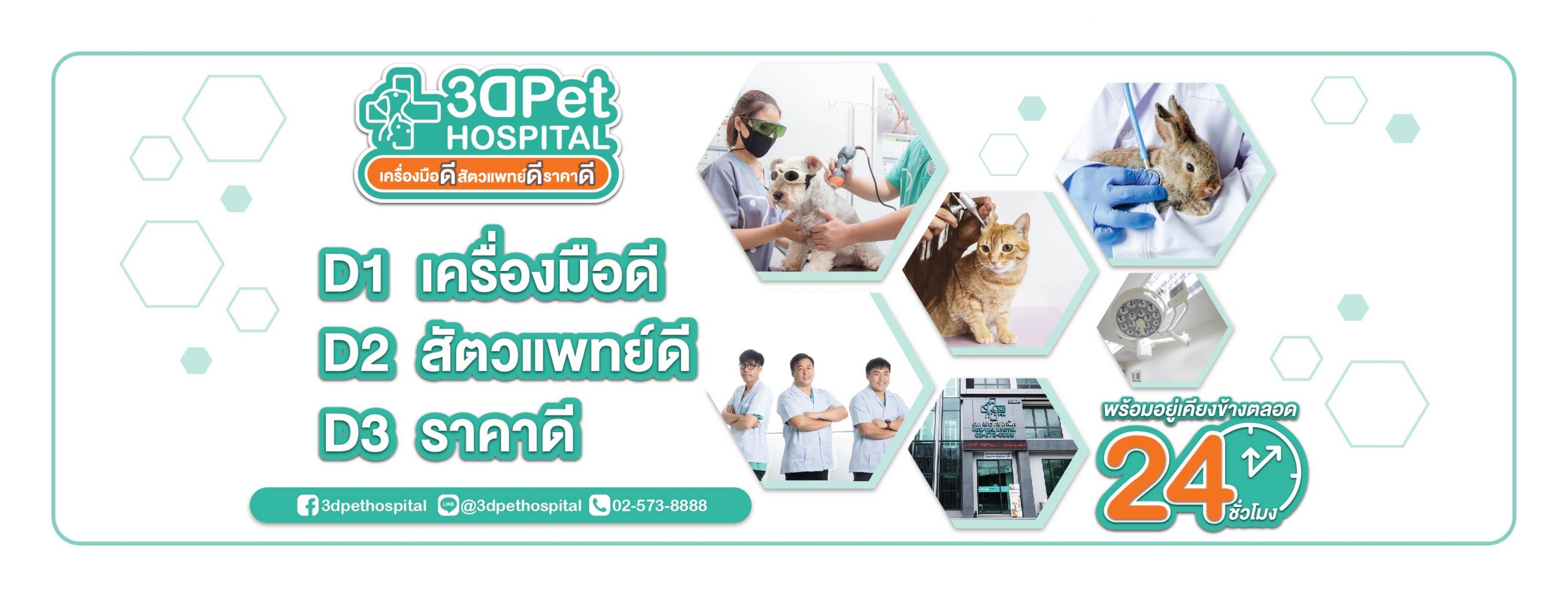 สัตวแพทย์ดูแลสุนัข