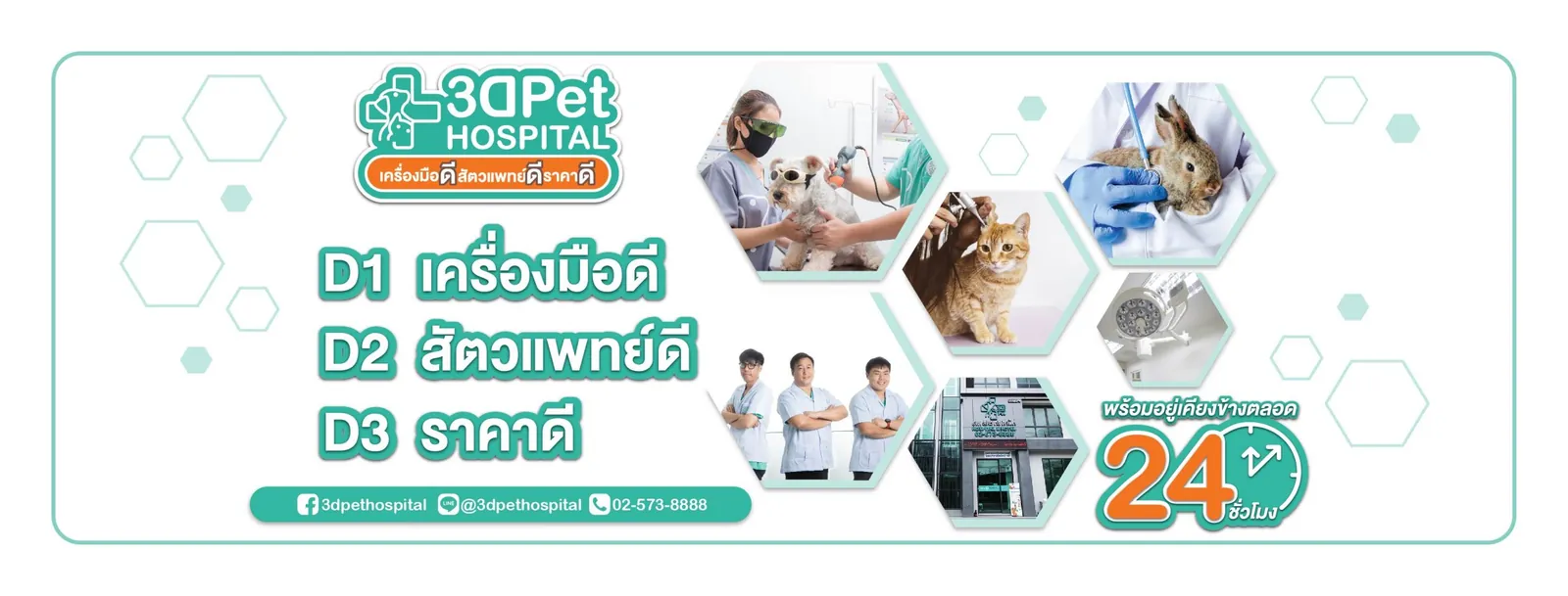 สัตวแพทย์ดูแลสุนัข
