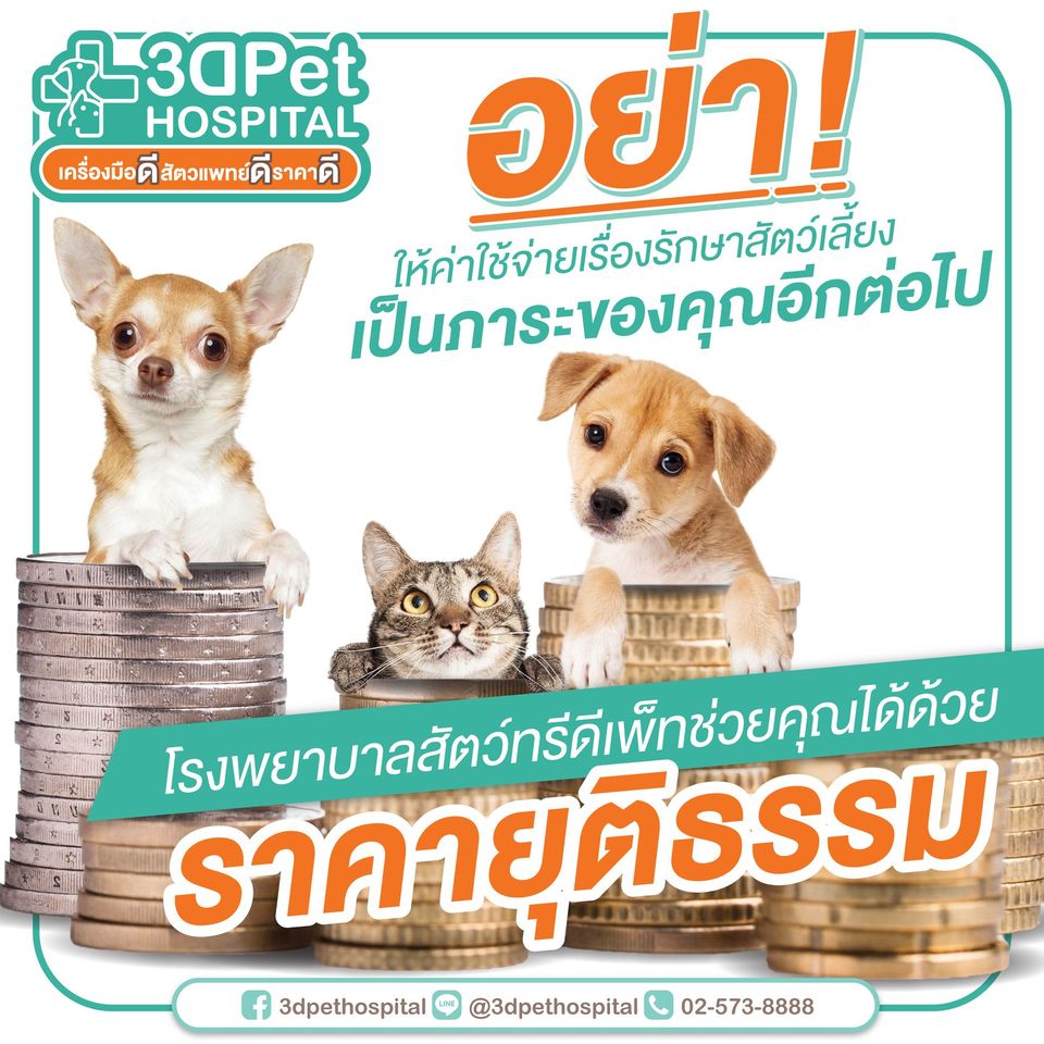 อย่าให้ค่าใช้จ่ายเรื่องรักษาสัตว์เลี้ยง เป็นภาระของคุณอีกต่อไป 【โรงพยบาลสัตว์3DPet】