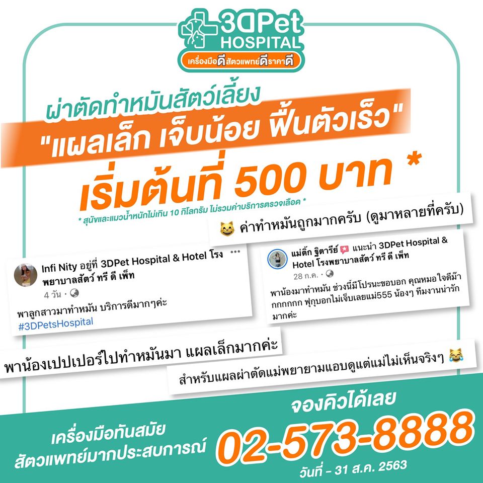 เรื่องสัตว์เลี้ยงให้เราดูแล