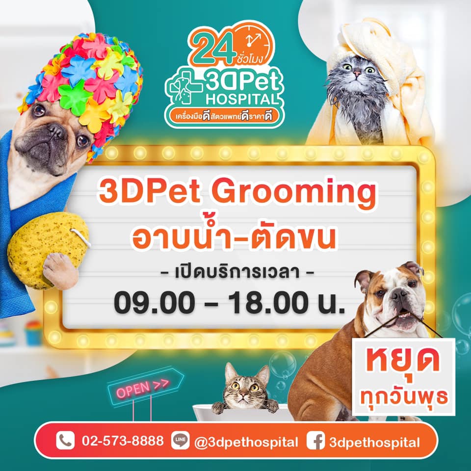 3DPet Grooming โซน อาบน้ำ ตัดขน น้องหมาน้องแมว